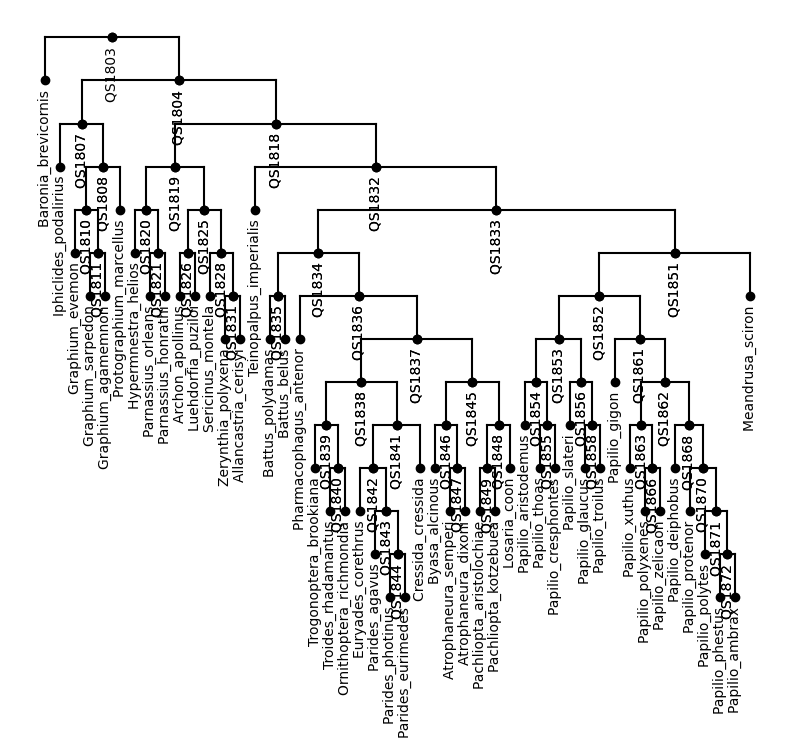 ../_images/notebooks_tree_building_11_1.png